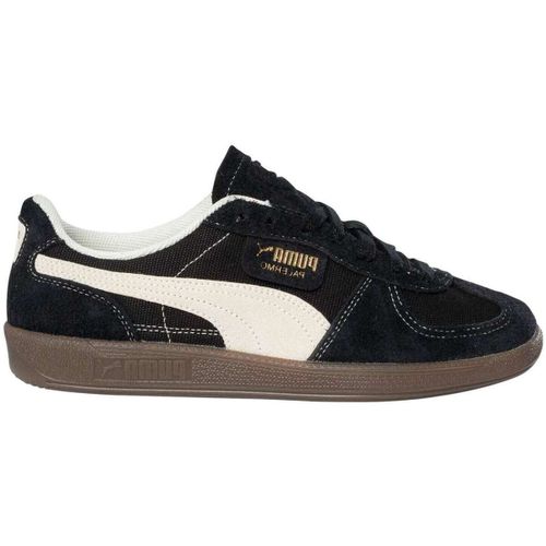 Baskets basses Baskets vintage Palermo - Puma - Modalova