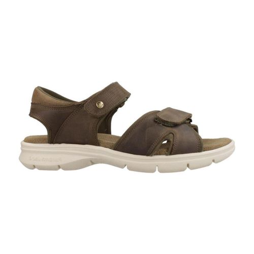 Sandales Panama Jack Sanders C21 - Panama Jack - Modalova