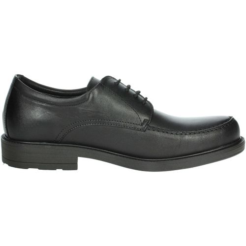 Derbies Baerchi 1802 - Baerchi - Modalova