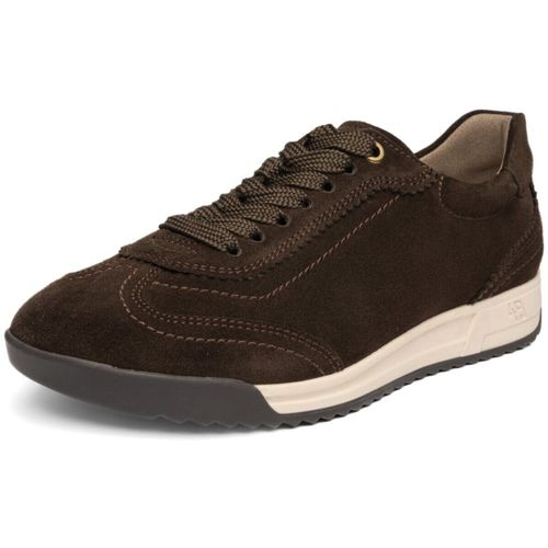 Baskets basses Ara - Ara - Modalova