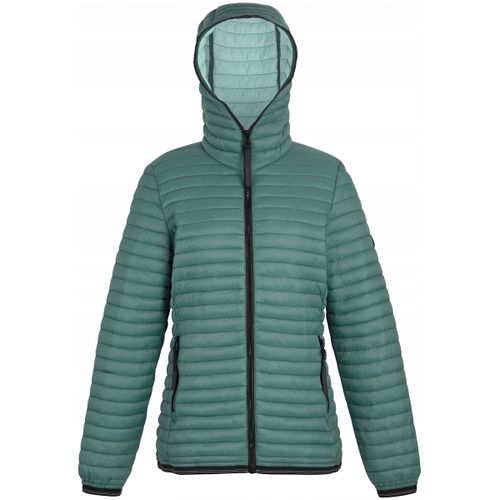 Blouson Regatta Rigain - Regatta - Modalova