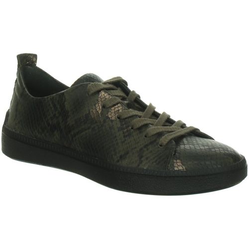 Baskets basses Think - Think - Modalova