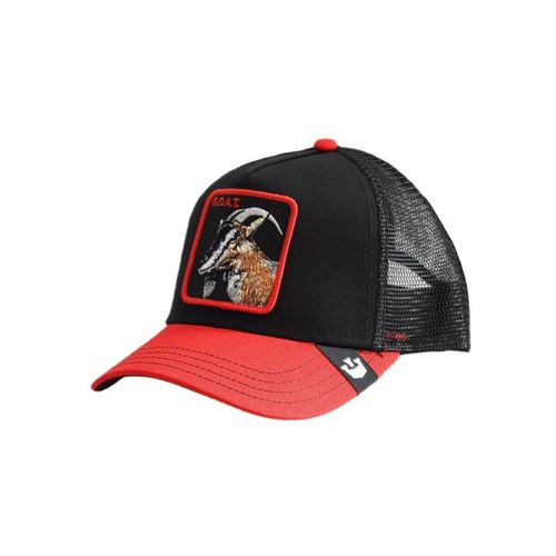 Casquette The Goat Steer - Goorin Bros - Modalova