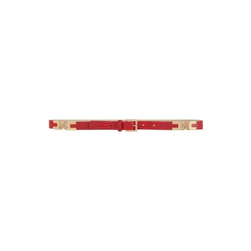 Ceinture ct54s66e2-cg5 - Elisabetta Franchi - Modalova