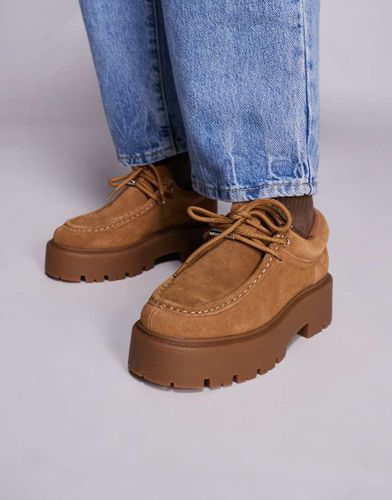 Offsetter - Mocassins chunky en daim Ã  lacets - Fauve-Brown Brown 39 female - Steve madden - Modalova