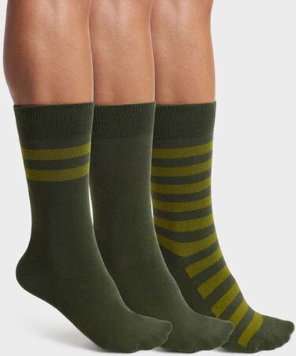 Lot de 3 paires de chaussettes à rayures Olive Coton Style - Masculin - Taille 43/46 43/46 - Dim - Modalova