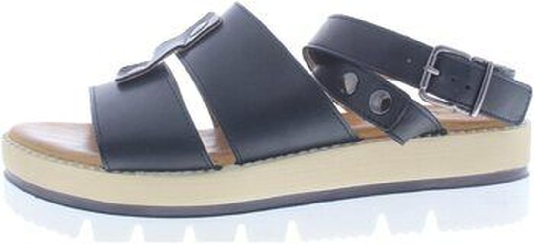 Sandales Roberto D Angelo Leon Noir - Roberto D Angelo - Modalova