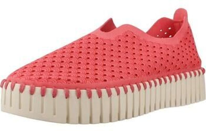 Slip ons TULIP3373 Rose - Ilse jacobsen - Modalova