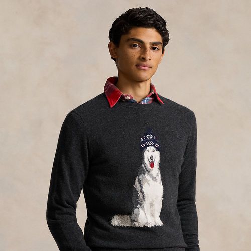 Pull cachemire chien tricot intarsia - Polo Ralph Lauren - Modalova