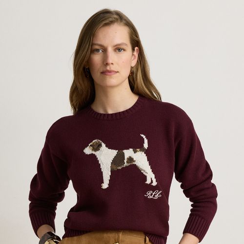 Pull en tricot intarsia de coton - Lauren - Modalova