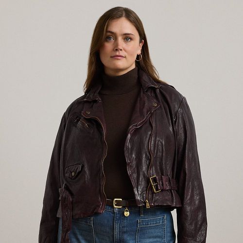 Grandes Tailles - Veste moto ceinturée en cuir tanné - Lauren Curve - Modalova