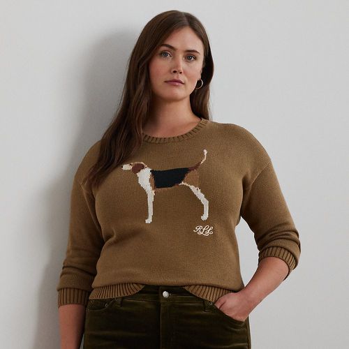 Grandes Tailles - Pull en coton à beagle tricot intarsia - Lauren Curve - Modalova