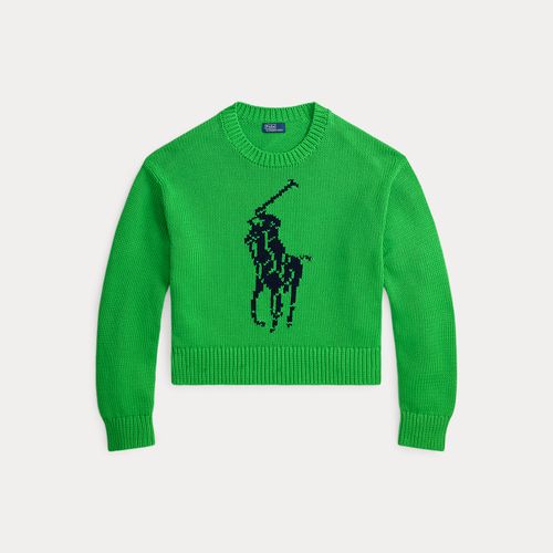 Pull col rond en coton Big Pony - Polo Ralph Lauren - Modalova