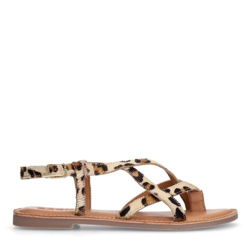 Sandales léopard avec brides croisées - Sacha - Modalova
