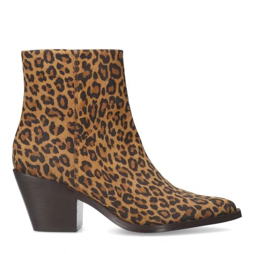 Bottines léopard à talon - Sacha - Modalova