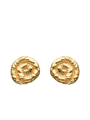 Nautilus Earrings Gold - Eva Remenyi - Modalova