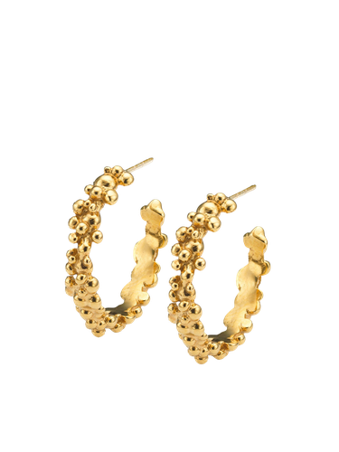 Céleste Deux Hoop Earrings - Earrings - Eva Remenyi - Modalova