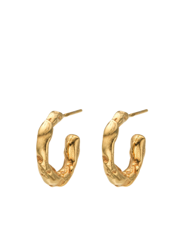Talisman Small Hoop Earrings Gold - Eva Remenyi - Modalova