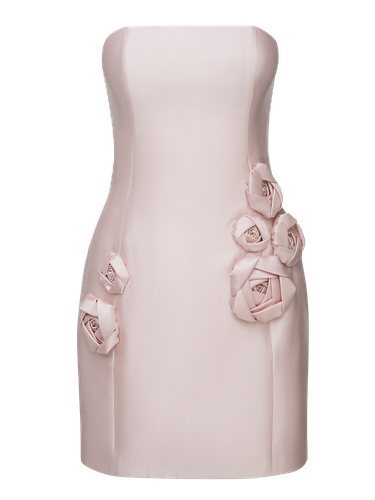 APPLIQUED STRAPLESS SILK AND WOOL-BLEND MINI DRESS - 0 - Mini dresses - NDS The Label - Modalova