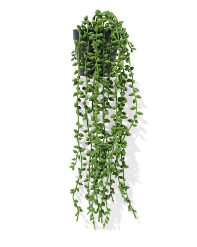 Plante Artificielle Petits Pois () - HEMA - Modalova