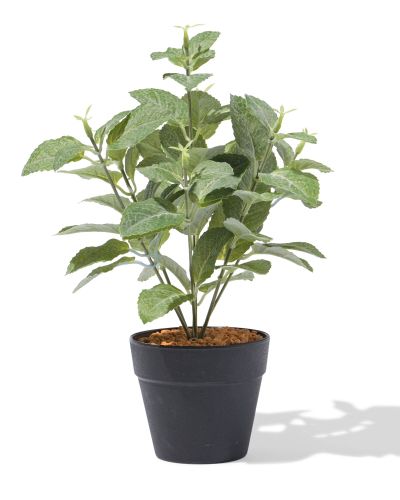 Plante Artificielle ⌀10x10cm Verticale () - HEMA - Modalova