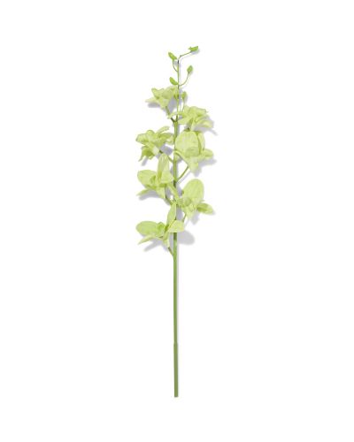 Fleur Artificielle Dendrobium 55 Cm Caoutchouc () - HEMA - Modalova