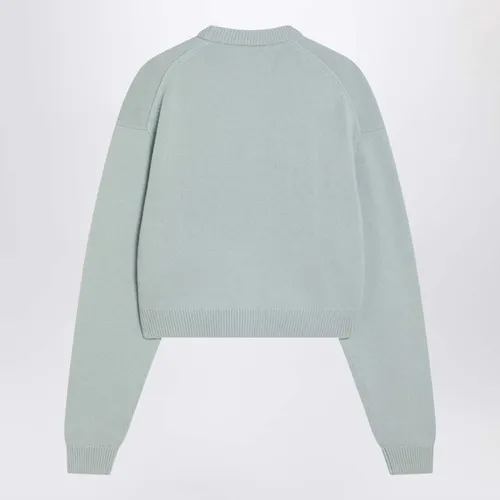 Knitwear > V-neck Knitwear - - Acne Studios - Modalova