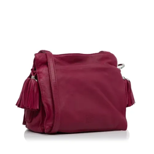 Pre-owned > Pre-owned Bags > Pre-owned Cross Body Bags - - Loewe Pre-owned - Modalova