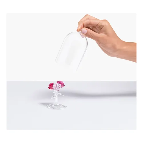 Home > Decoration > Decorations - - Swarovski - Modalova