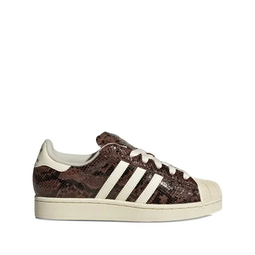 Adidas - Shoes > Sneakers - Brown - Adidas - Modalova