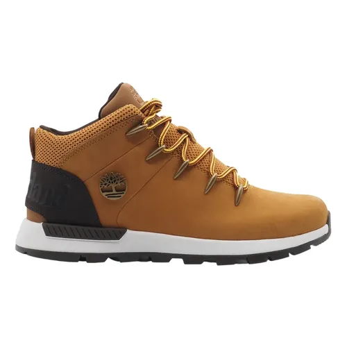 Shoes > Boots > Lace-up Boots - - Timberland - Modalova