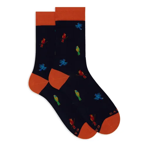 Underwear > Socks - - Gallo - Modalova