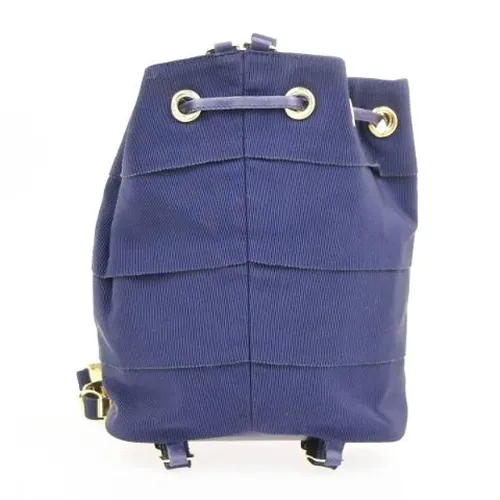 Pre-owned > Pre-owned Bags > Pre-owned Backpacks - - Salvatore Ferragamo Pre-owned - Modalova