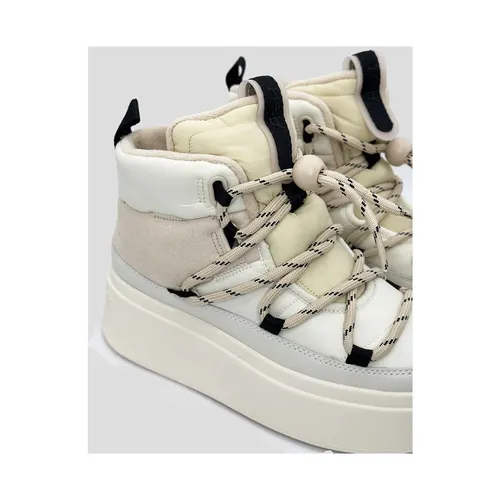 ASH - Shoes > Sneakers - Beige - ASH - Modalova