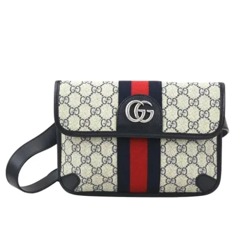 Pre-owned > Pre-owned Bags > Pre-owned Belt Bags - - Gucci Vintage - Modalova