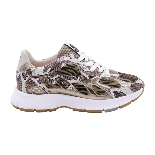 Shoes > Sneakers - - Floris van Bommel - Modalova