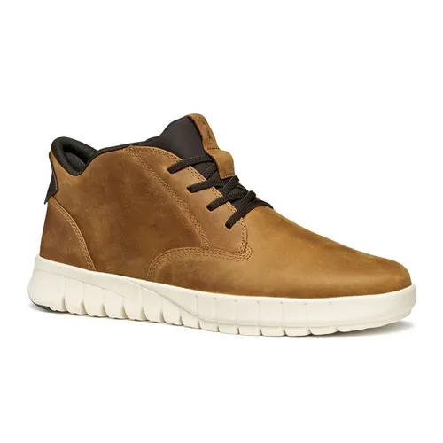 Geox - Shoes > Sneakers - Brown - Geox - Modalova