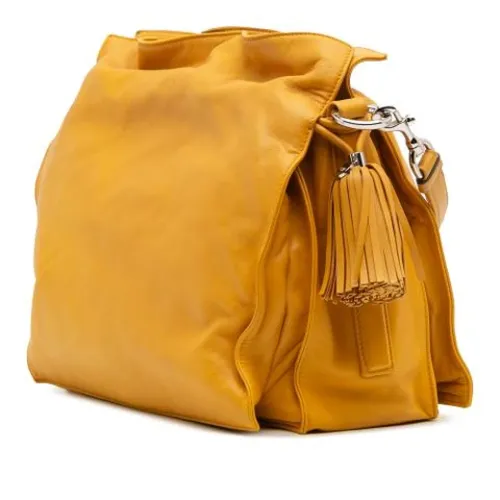 Pre-owned > Pre-owned Bags > Pre-owned Shoulder Bags - - Loewe Pre-owned - Modalova