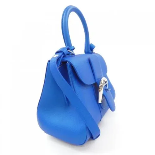Pre-owned > Pre-owned Bags > Pre-owned Mini Bags - - Delvaux Pre-owned - Modalova