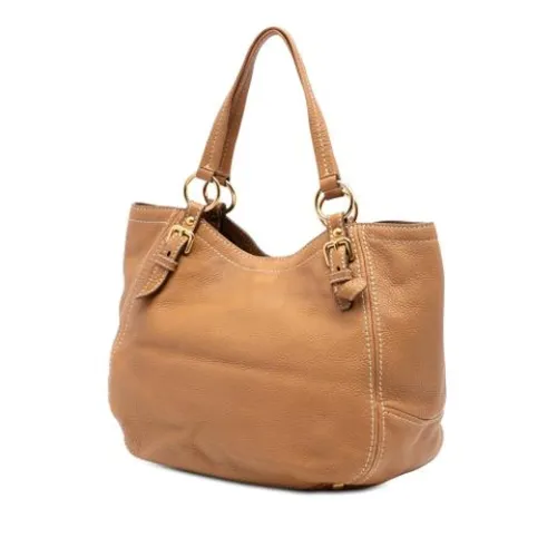 Pre-owned > Pre-owned Bags > Pre-owned Shoulder Bags - - Prada Vintage - Modalova