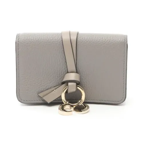 Pre-owned > Pre-owned Accessories > Pre-owned Wallets - - Chloé Pre-owned - Modalova