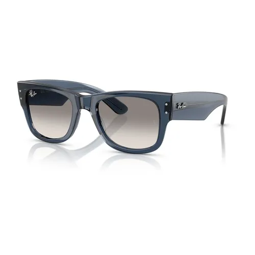 Accessories > Sunglasses - - Ray-Ban - Modalova
