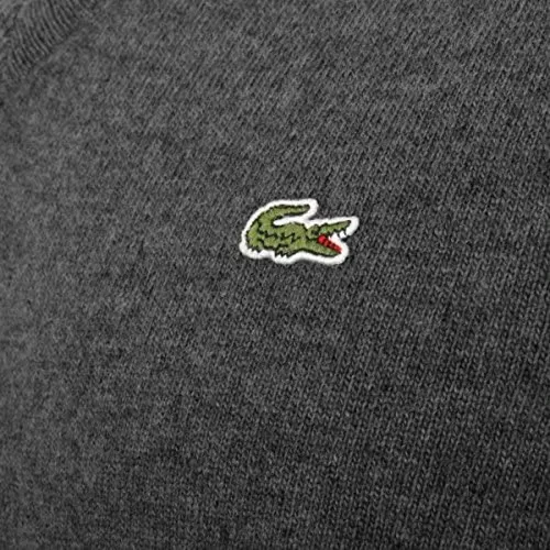 Knitwear > V-neck Knitwear - - Lacoste - Modalova