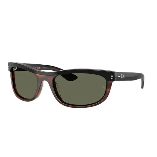 Accessories > Sunglasses - - Ray-Ban - Modalova