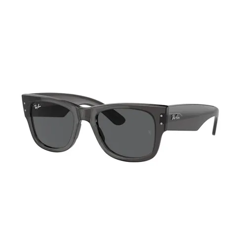 Accessories > Sunglasses - - Ray-Ban - Modalova