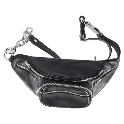 Pre-owned > Pre-owned Bags > Pre-owned Belt Bags - - Alexander Wang Pre-owned - Modalova