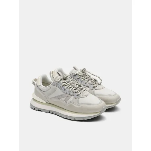 Hoff - Shoes > Sneakers - Gray - Hoff - Modalova