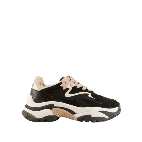 Shoes > Sneakers - - ASH - Modalova