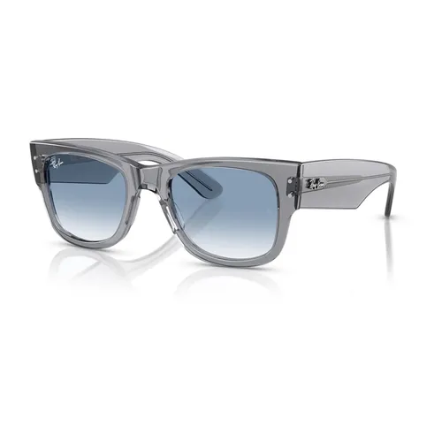Accessories > Sunglasses - - Ray-Ban - Modalova