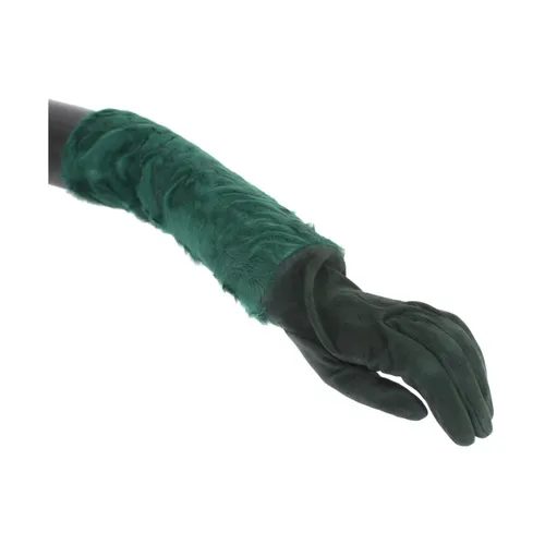 Accessories > Gloves - - Dolce & Gabbana - Modalova